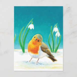 Red Robin Bird (Erithacus rubecula) & Snowdrops Postcard