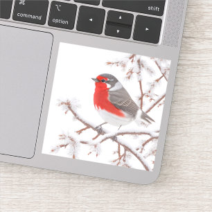 Red Robin Bird in Snow