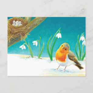 Red Robin Bird & snowdrops Illustration  Postcard
