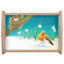 Red Robin Bird & Snowdrops Illustration  