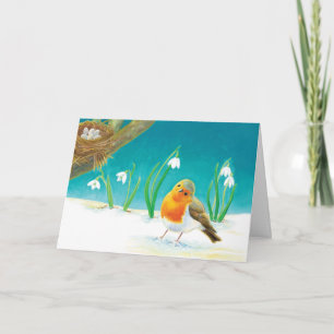 Red Robin Bird & Spring Snowdrops Illustration  Card