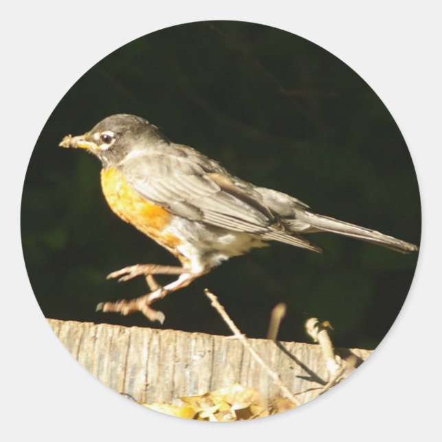 Red Robin Bobbin Classic Round Sticker (Front)