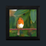 Red ROBIN Gift Box<br><div class="desc">Stunning red Robin bird photo gifts,  accessories and decor. Red Robin is a beautiful bird which we enjoy seeing most in winter months with it's sharp red breast feathers contrasting against the White snow. This red Robin is perched on a branch against a clear blue sky.</div>