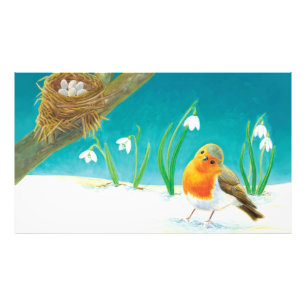 Red Robin Illustration Photo Print