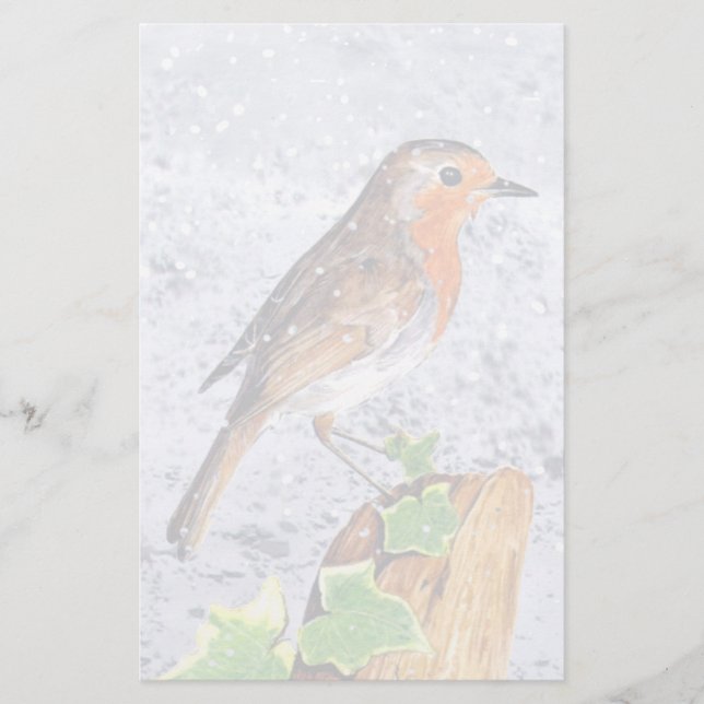 Red robin in the snow art (Front)