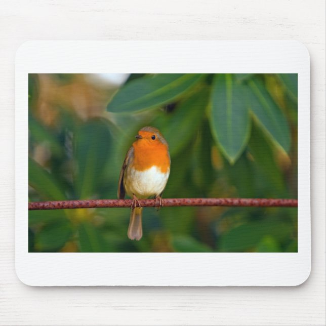 Red ROBIN Mouse Mat (Front)