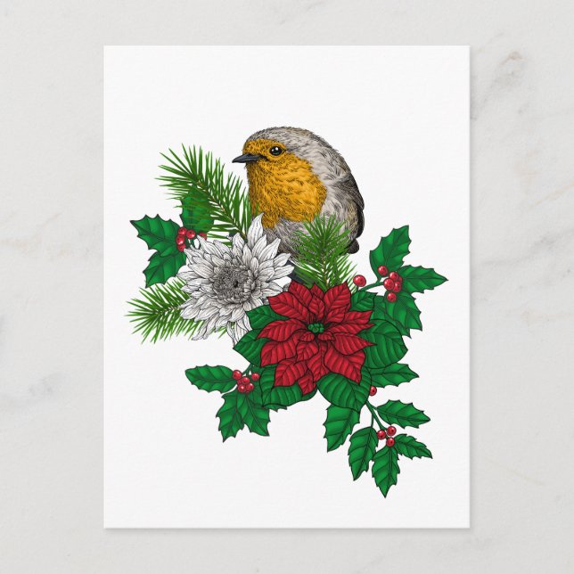 Red robin on Christhmas decoration Postcard (Front)