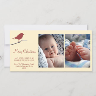 Red robin snowy branch cream Merry Christmas Holiday Card