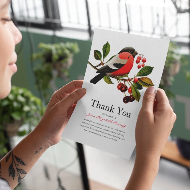 Red Robin | Sympathy bird Thank You (Creator Uploaded)