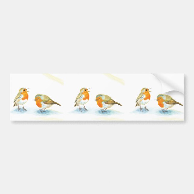 Red Robins in Winter     Bumper Sticker (Front)