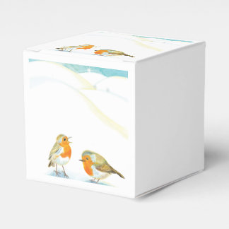 Red Robins in Winter Favour Box