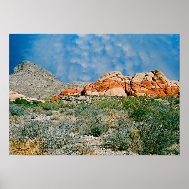 Red Rock Canyon Landscape Photo Art Print (Front)