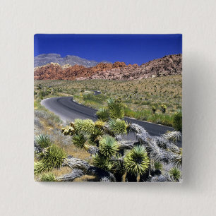 Red Rock Canyon National Conservation Area, Las 15 Cm Square Badge