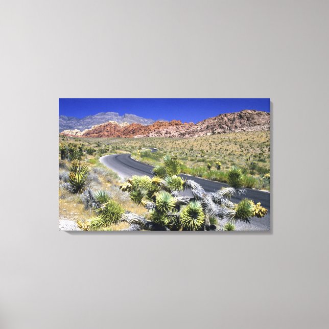 Red Rock Canyon National Conservation Area, Las Canvas Print (Front)