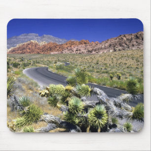 Red Rock Canyon National Conservation Area, Las Mouse Mat