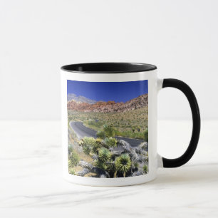 Red Rock Canyon National Conservation Area, Las Mug
