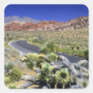 Red Rock Canyon National Conservation Area, Las Square Sticker