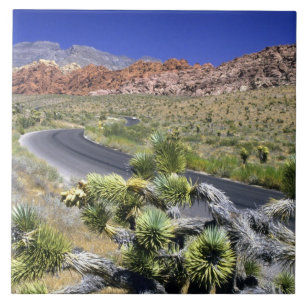 Red Rock Canyon National Conservation Area, Las Tile