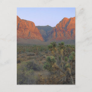 Red Rock Canyon National Conservation Area Postcard