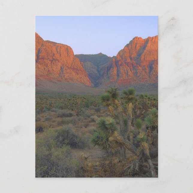 Red Rock Canyon National Conservation Area Postcard (Front)