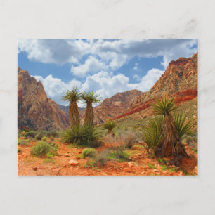 Red Rock Canyon Spring Mountain Ranch Poster Postcard