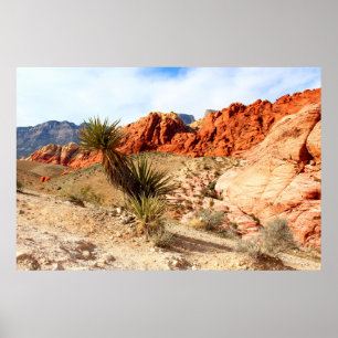 Red Rock Canyon Spring Mountains Background Poster