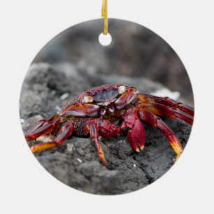 Red rock crab ceramic tree decoration