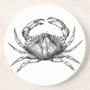 Red Rock Crab (Pacific) Coaster