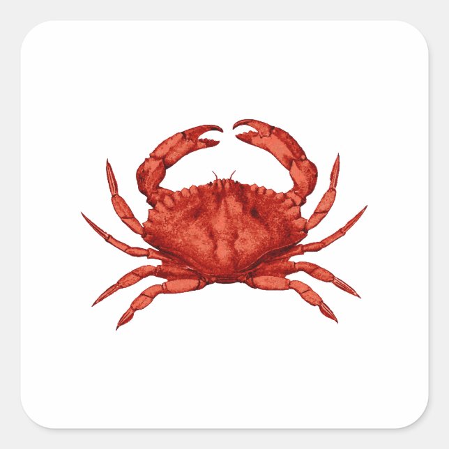 Red Rock Crab (Pacific) Square Sticker (Front)