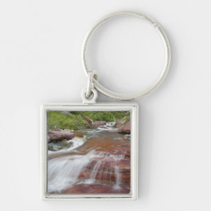 Red rock in Baring Creek in Glacier National Key Ring