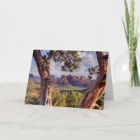 Red Rock | Sedona Arizona