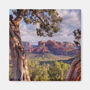 Red Rock   Sedona Arizona Magnet