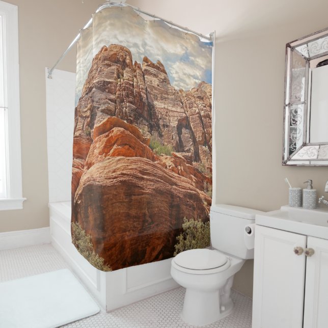 red rock shower curtain (In Situ)