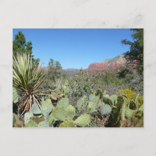 Red Rocks and Cacti I Postcard