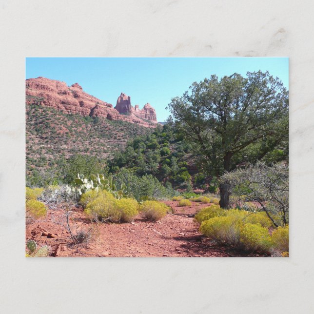 Red Rocks and Cacti II in Sedona Arizona Postcard (Front)