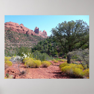 Red Rocks and Cacti II in Sedona Arizona Poster