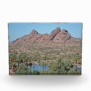 Red Rocks Arizona Palm Tree Landscape Photo Desert Block