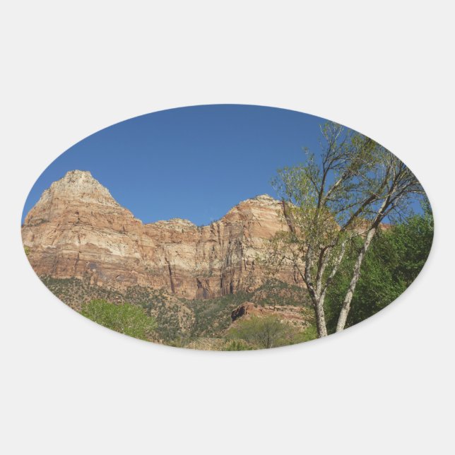 Red Rocks at Zion National Park Photography Oval Sticker (Front)