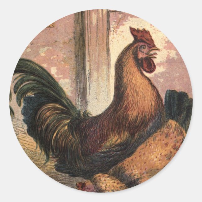 Red Rooster, Brown Hen and Baby Chicks on Straw Classic Round Sticker (Front)