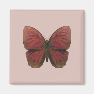Red Rooster Butterfly Magnet