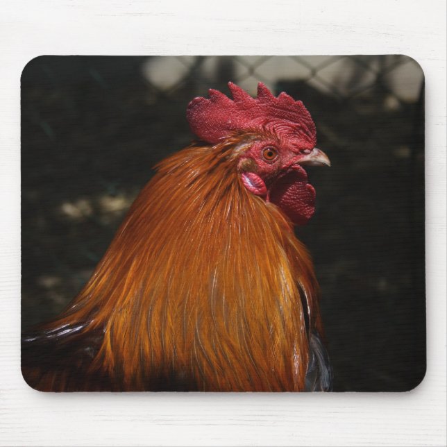 Red Rooster Mouse Mat (Front)