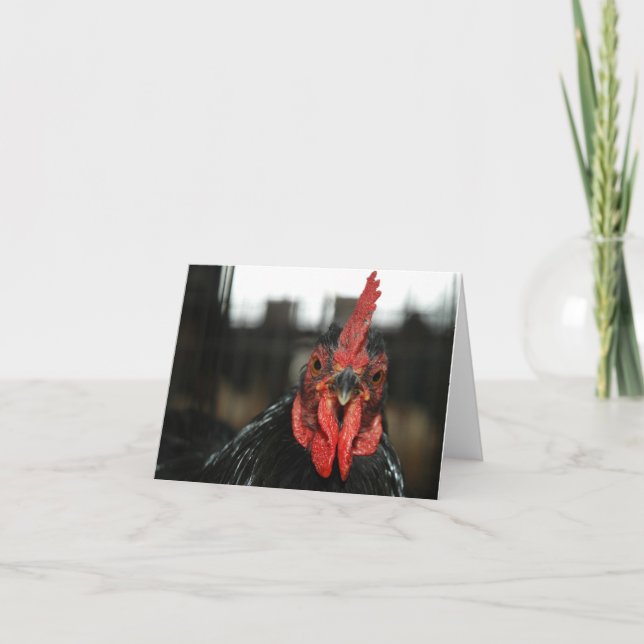 Red Rooster Thank You Card (Front)