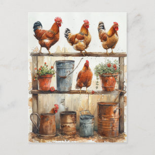 Red Roosters on Potting Bench Rusty Pails  Postcard