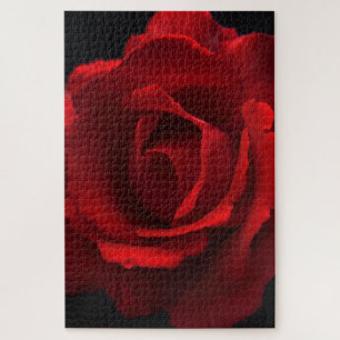 Red Rose 20x30 1014pc jpcna Jigsaw Puzzle