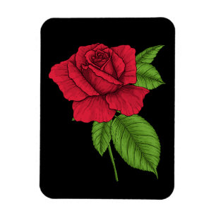 Red rose 2 magnet