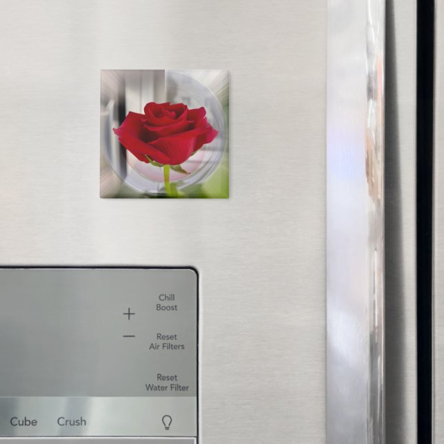 Red rose 2 magnet (In Situ (Fridge))