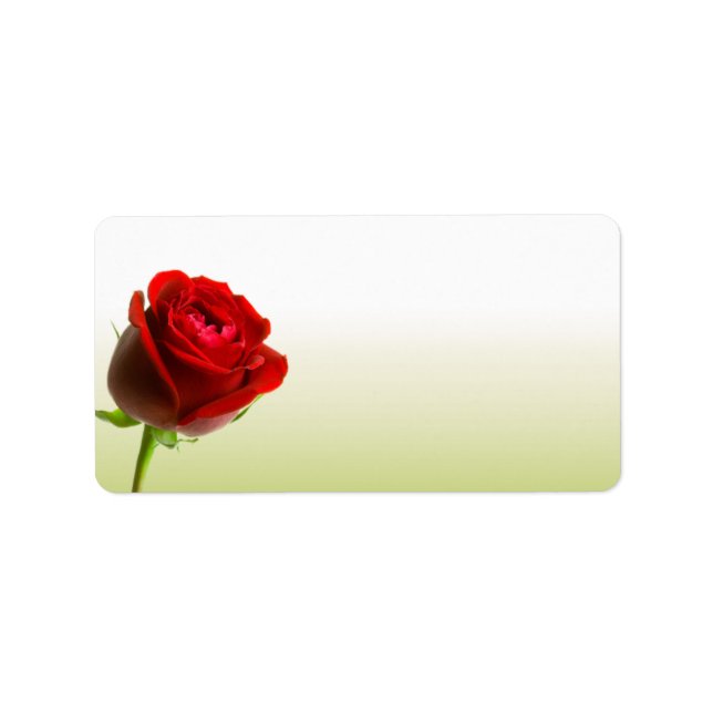 Red Rose Address Labels (Front)
