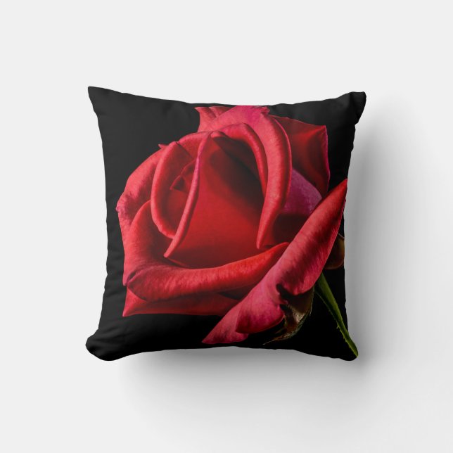 Red Rose Against Black Background Cushion (Front)