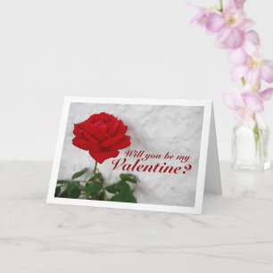 Red Rose against White Wall Card