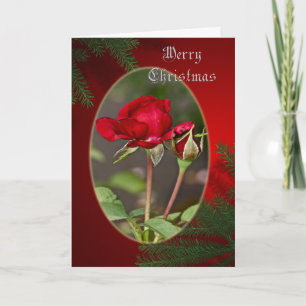 Red Rose and Bud Merry Christmas Greeting Card